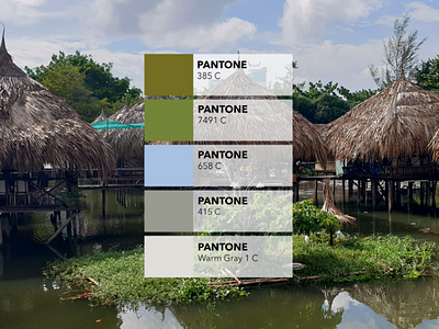 Pantone colors from pictures 🎨: The bungalows bundle bungalow colored creative design flood floods inspiration mekong tropical tropical flyer tropical leaves tropical party flyer