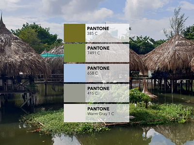 Pantone colors from pictures 🎨: The bungalows