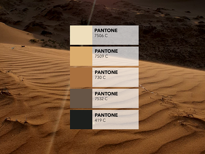 Pantone colors from pictures 🎨: The dune colored creative design digital dribbble dunes illustration inspiration mui ne pantone pics picture sand tropical