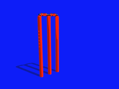 15/365 cricket sport stumps