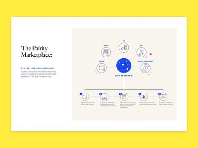 Pairity Infographics branding illustration infographic