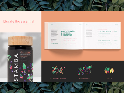 Stamba brand elements brand brand guidelines branding identitydesign packaging