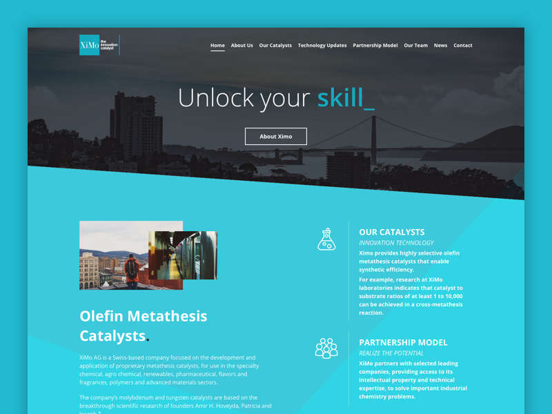 Ximo - Home Page sketch services team parallax green landing ui web website webdesign