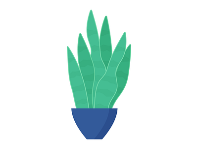 Day 142 - 366 Days of Illustration Challenge - MintSwift digital illustration dracaena flat flat design flat illustration flatdesign house plants illustration illustrator leaf leaves mintswift plant plants pot potted plant snake plant urban jungle vector illustration