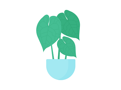 Day 206 - 366 Days of Illustration Challenge - MintSwift anthurium anthurium clarinervium digital illustration flat design flat illustration flatdesign heart shaped house plant illustration illustrations illustrator laceleaf mintswift plant plant illustration plants pot tropical vector art vector illustration