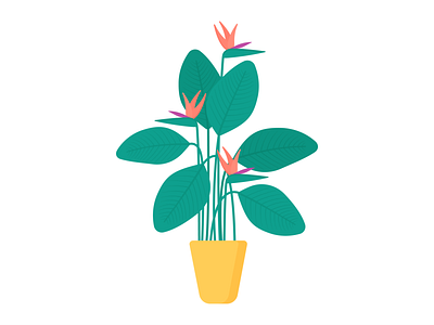 Day 232 - 366 Days of Illustration Challenge - MintSwift bird of paradise digital illustration flat design flat illustration flatdesign flower illustration illustrations illustrator leaf mintswift plant plant illustration plants pot strelitzia strelitzia reginae tropical vector vector illustration