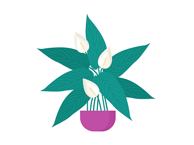 Day 234 - 366 Days of Illustration Challenge - MintSwift digital illustration flat design flat illustration flatdesign flower illustration illustrations illustrator mintswift peace lily plant plant illustration plants pot spathiphyllum spathiphyllum wallisii tropical vector vector illustration vectorart