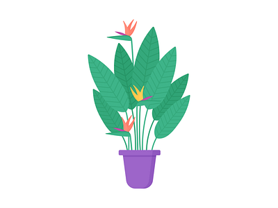 Day 330 - 366 Days of Illustration Challenge - MintSwift bird of paradise digital illustration flat design flat illustration flatdesign flower house plant illustration illustrations illustrator mintswift office plant plant plant illustration plants potted plant strelitzia strelitzia reginae vector vector illustration