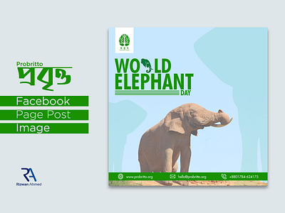 World Elephants Day - 12 August 2021 - Facebook Page Post Image 3d animation branding design graphic design illustration logo motion graphics rizwanagraph360 rizwanahmed rizwangraph social media design ui