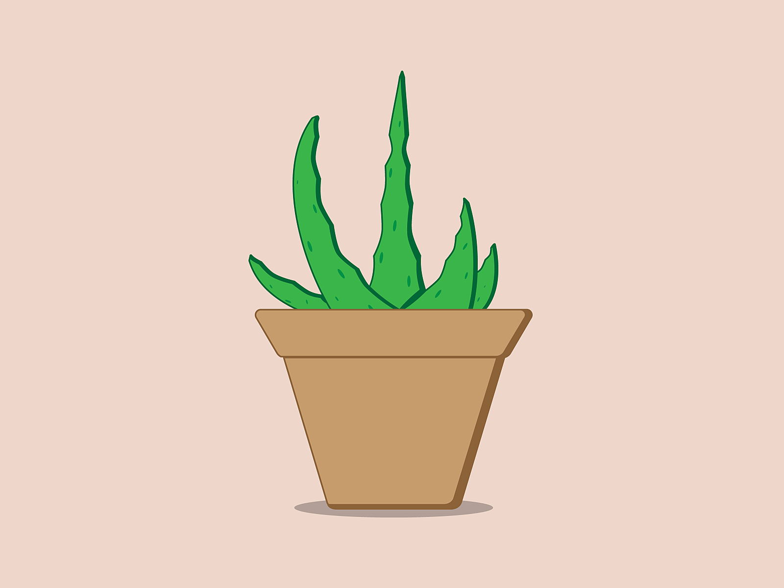 Aloe Vera Illustration By Artha Wirawan On Dribbble