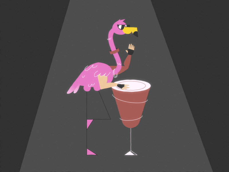 Coolest Flamingo 2d ae animation bongo character design flamingo motion design motion graphics