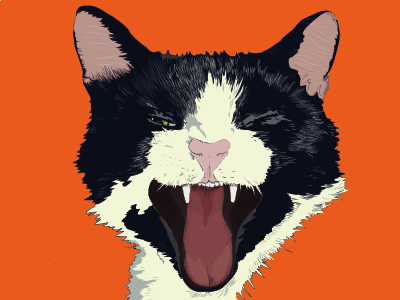 Edgar affinity cat illustration yawning