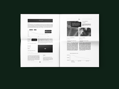 Virus in the Viral animation booklet design brand branding clean design editorial editorial design graphic design icon identity illustration illustrator lettering logo minimal mobile typography web website