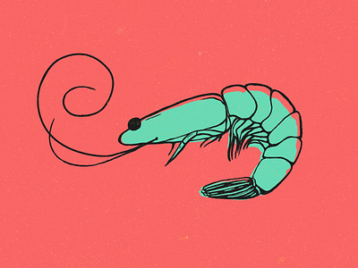 Shrimp for Eatme drawing food shrimp