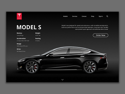 Tesla landing page concept.