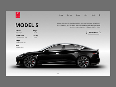 Tesla landing page concept.