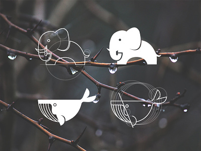 Elephant & Whale branding icon logo ui