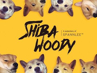 Design for my dog Shiba Woody :D branding logo vi