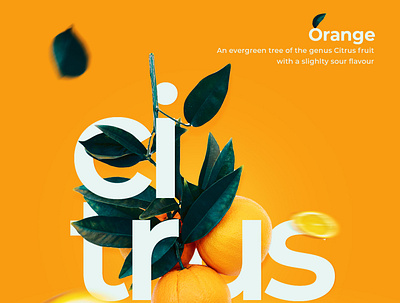 Ads Design ad adobe photoshop advertising design feel flyer graphics minimal orange