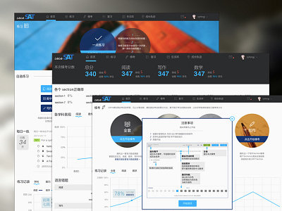 Cecesat Web Design blue chart table web