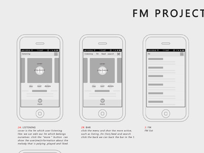 Wireframe for FM