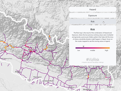 VizRisk Nepal Landslides - Zoom