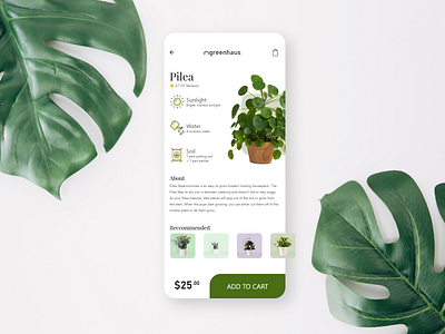 eCommerce for Plants 012 concept dailyui dailyuichallenge ecommerce green logo mobile plants product uxui