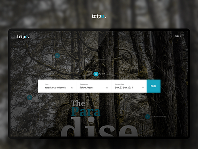 Tripo Web Travel booking form ticketing travel typography ui ux website