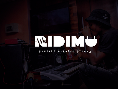 Logo Design For RIDIMU