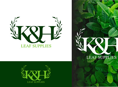 Leaf Logo 3d animation branding creativelogo design graphic design hassan islam illustration leaf leaflogo logo typography typohraphylogo ui ux vector