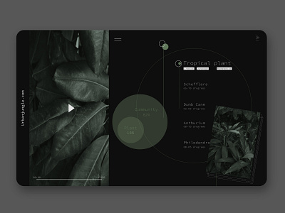 Plant Web | Website design app app design design graphicdesgn insipration kitsch typography ui uidesignpatterns webdesign website