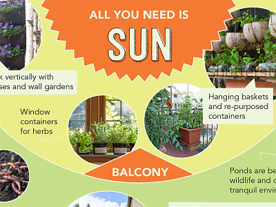 Permaculture Infographic