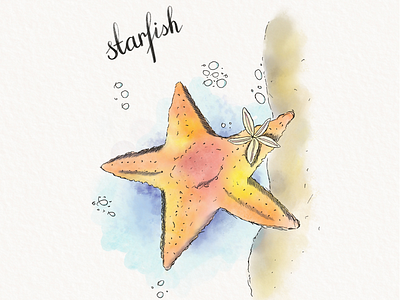 Watercolor starfish. apple pencil art bubble bubbles calligraphy colorful draw fish flower lettering paint paints procreate sand sea star starfish underwater water watercolor