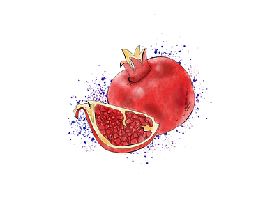 Watercolor pomegranate. apple pencil art brush calligraphy design drawing fruit fruits highlight ipad lettering pomegranate procreate seed shadow splash splashes watercolor watercolour