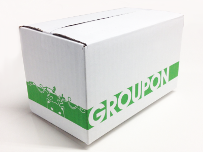 GrouponGoods Holiday Shipping Boxes box cat groupon holiday lights shipping