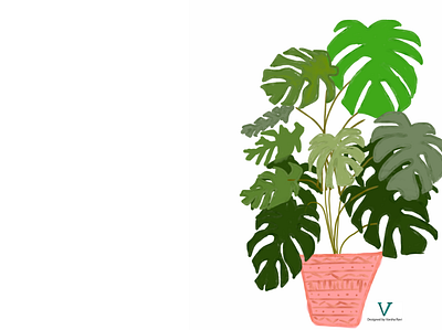 Indoor Plants design flat illustration illustration work indoor plants plant illustration vector