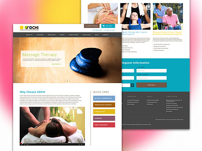 Physical Aid School Website homepage massage physical rehabilitation therapy web