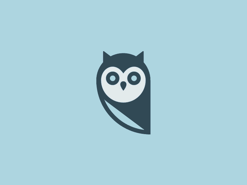 Owl-rageous animation beyondthegrave logo mark owl process