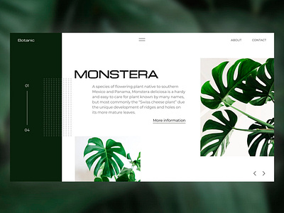 Botanic design logo minimal typography ui ux web webdesign website