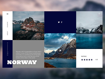 Norway country web design design flat logo minimal typography ui ux web webdesign website