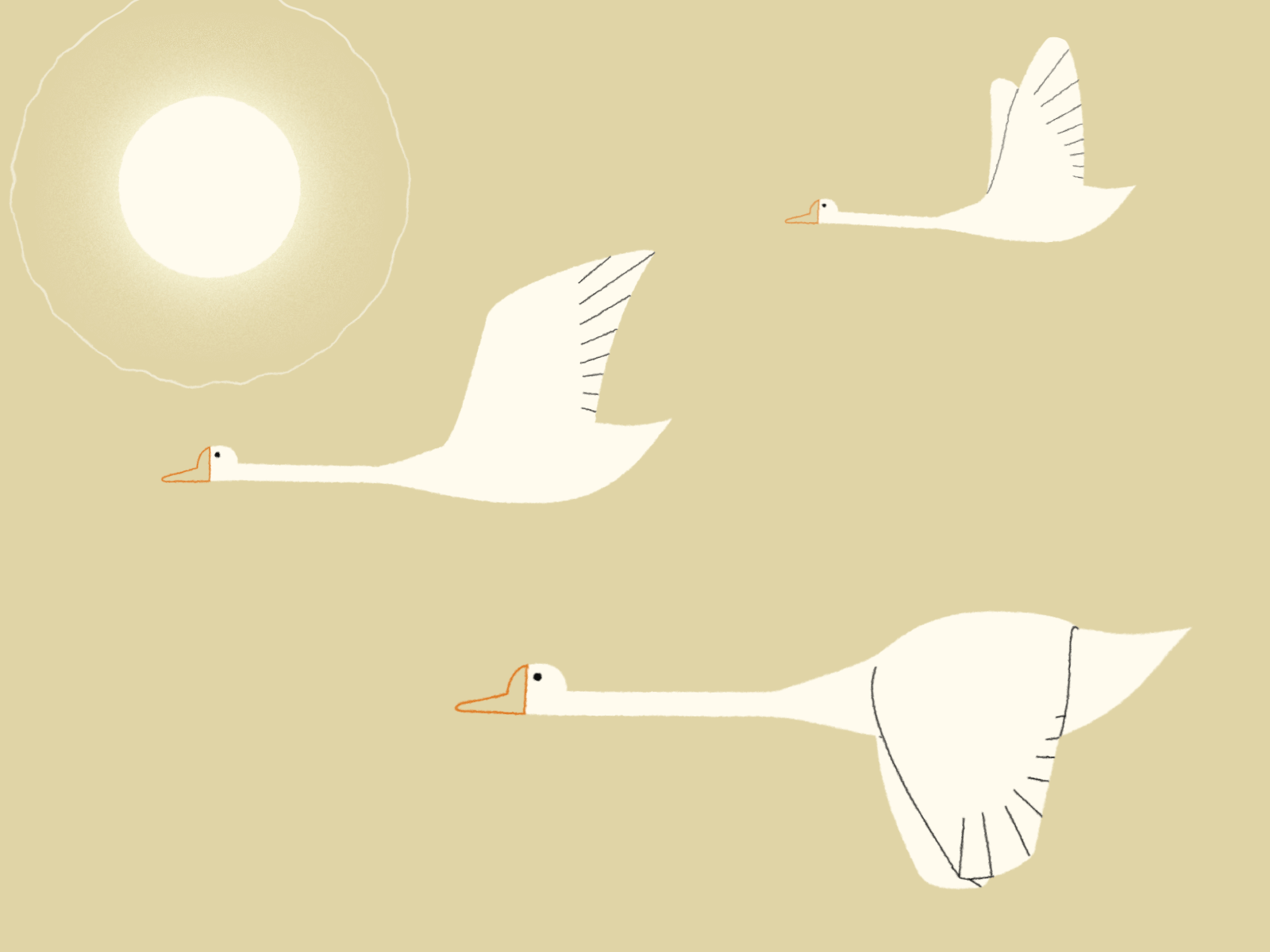 Geese aftereffects animate animation birds flying frame by frame geese goose illustration motion graphics vector