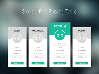 Simple Flat Pricing Table flat pricing pricing table simple table