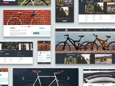 Roar Bikes - UX/UI Mockup app bicycle bikes design mockup modern ui ux ux ui design vector website