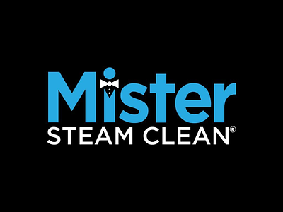 Mister Steam Clean Logo ciaburribrand graphic design local logo logo design mister steam clean steam clean
