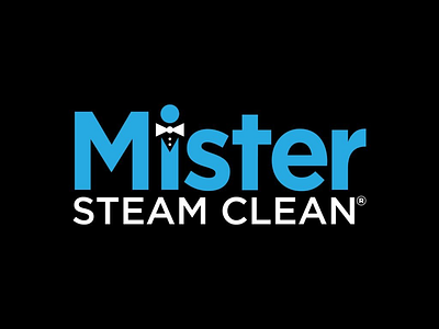 Mister Steam Clean Logo