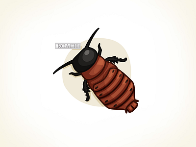 Cockroach bug cockroach illustration insect vector