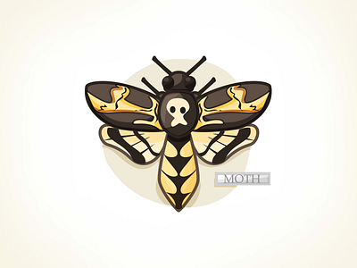 Death's Head Moth bug illustration insect moth silence of the lambs vector wings
