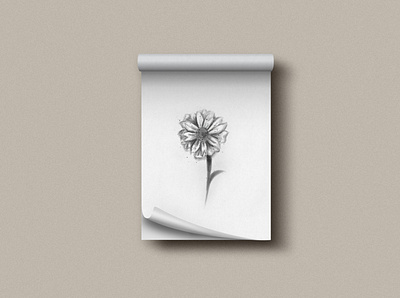 Tiny flower brushes design draw drawing drawn dribbble flor flora flower ilustration pincel