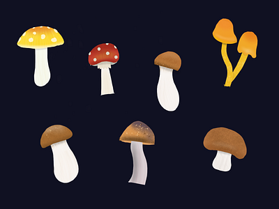 Mushrooms illustration mushrooms procreate