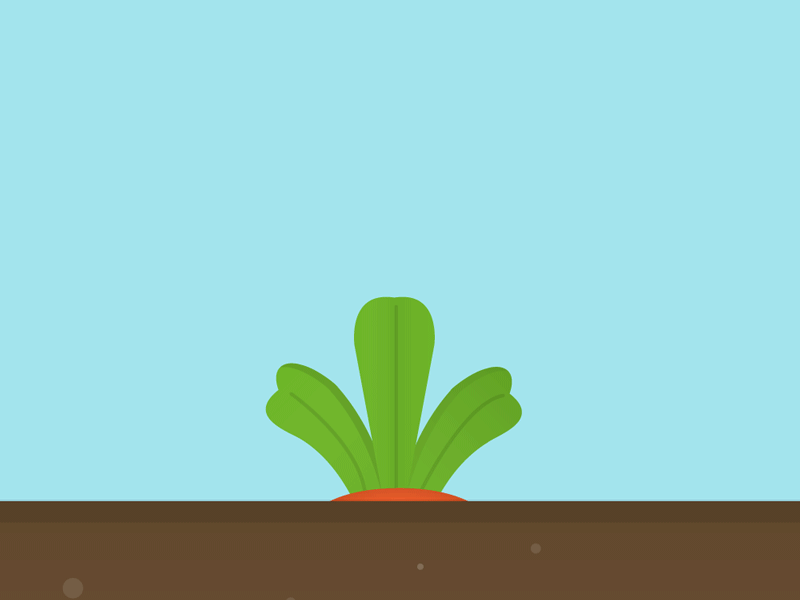 Carrot 2d animation carrot gardening